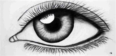 Eye Pen Sketch at PaintingValley.com | Explore collection of Eye Pen Sketch