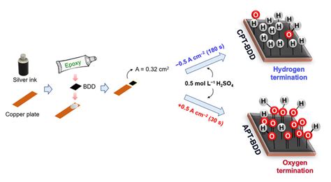 Scheme Of Boron Doped Diamond Bdd Electrode Assembly For