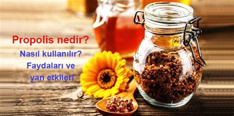 Propolis Nedir Nas L Kullan L R Faydalar Ve Yan Etkileri