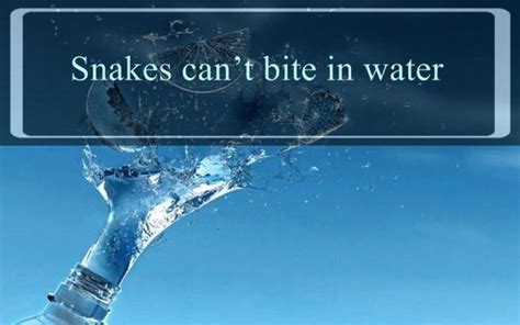 Here Are Some Important Facts About Water That You Need To Know 24 Pics