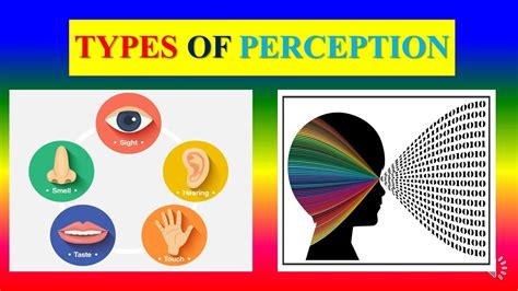 Perception Psychology