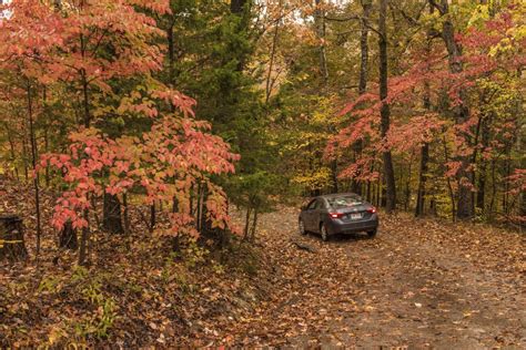 The Best Fall Drives In The Ozarks