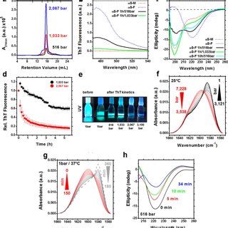 Mechanism of dissociation of α syn fibrils by pressure a b The