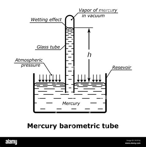 Mercury Barometric Tube Illustration Stock Photo Alamy