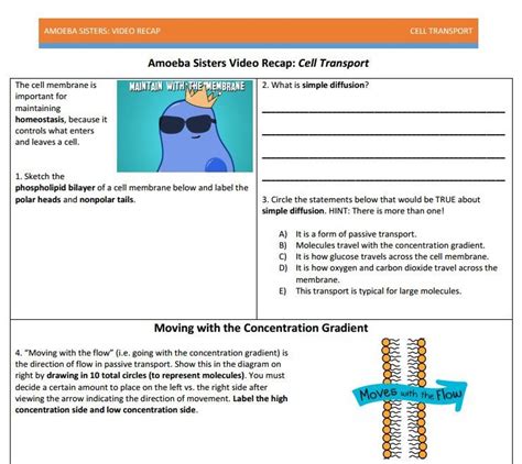 Amoeba Sisters Introduction To Cells Worksheet