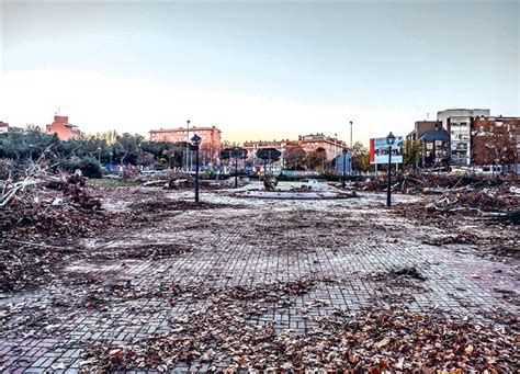 De La Defensa Del Arbolado A La Organizaci N Vecinal Madrid En Acci N