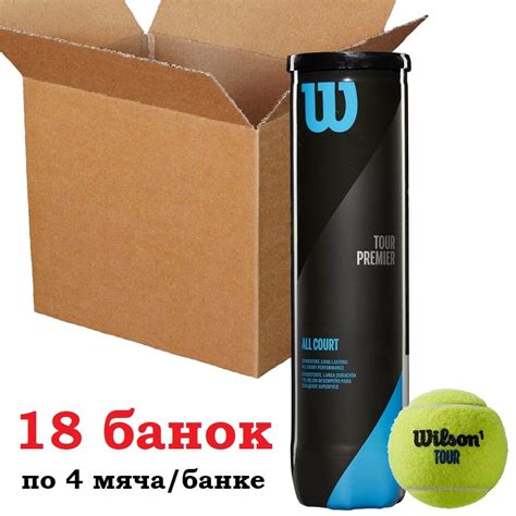 Мячи для тенниса Wilson Tour Premier – ящик (4 мяча) – Ракетлон Україна