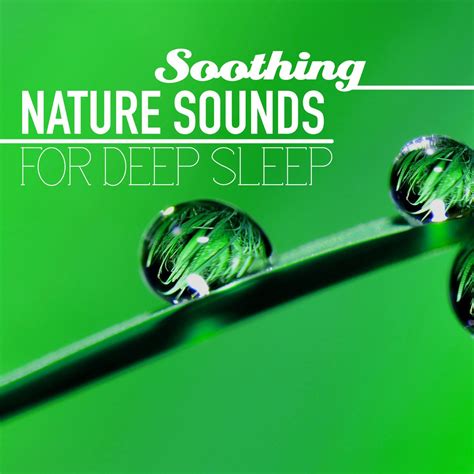 Soothing Nature Sounds For Deep Sleep Album By Sleep Study Experts