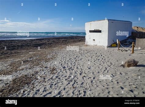 Mallorca Spain Nov 1 2023 Platja D Es Trenc Beach Stock Photo Alamy