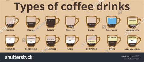 14 Popular Types Coffee Collected On Stock Vector (Royalty Free ...