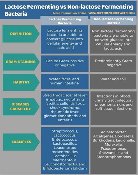 Lactose Fermenting Vs Non Lactose Fermenting Bacteria Tabular Form