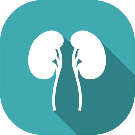 Tips for Healthy Kidneys | home to home