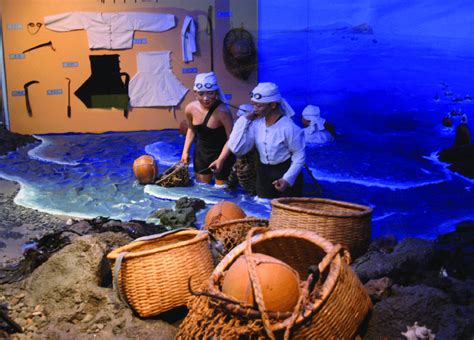 Haenyeo, female diver diving and collecting seafood under the sea for ...