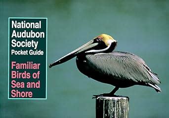 National Audubon Society Pocket Guide To Familiar Birds Of Sea And