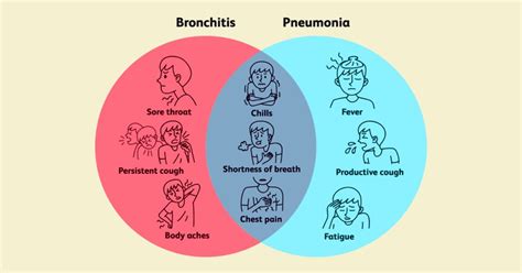 What S The Difference Between Pneumonia And Bronchitis