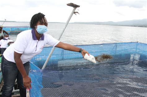 Firm Empowers Women In Bid To Fight Sex For Fish The Standard