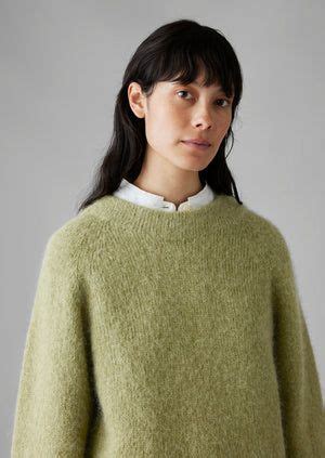 Lofty Alpaca Blend Sweater Pea Shoot In Raglan Sleeve Sweater