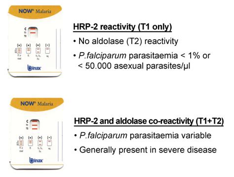 Interpretation Of The Binax Now® Malaria Test Results In Patients With Download Scientific