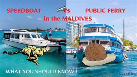 Why Speedboat Ferry Is Better Than A Public Ferry In The Maldives