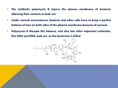 Bacteriostatic And Bactericidal Antibiotics Microbiology Quick Learn Ppt