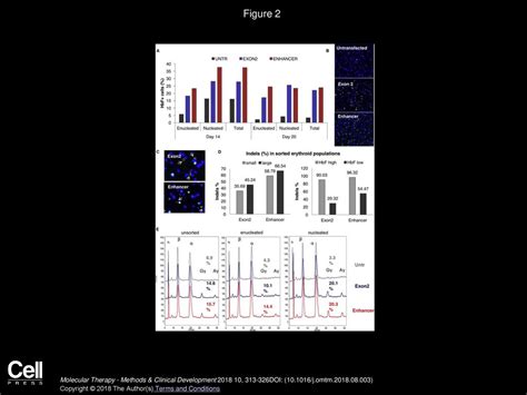 Disruption Of The BCL11A Erythroid Enhancer Reactivates Fetal