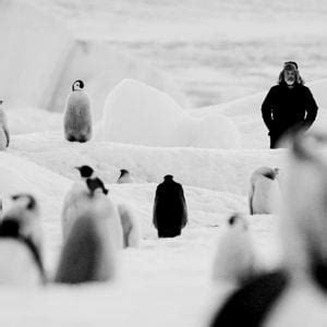 R Ckkehr Zum Land Der Pinguine Dokumentarfilm Filmstarts De