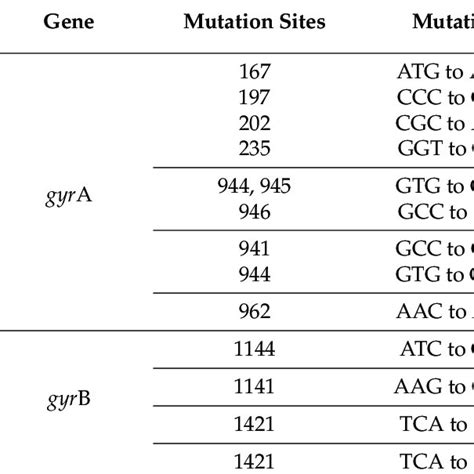 Detection Of Mutations In Rpob Gene Associated With Rifampicin