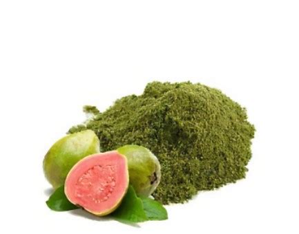 Daun Jambu Biji Bubuk Pure Psidium Guajava Powder G Toko Indonesia