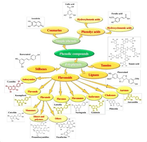 Phenolic Compounds Structure