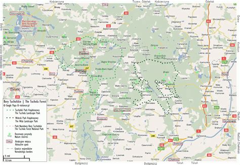 Bory Tucholskie I Kociewie Przewodnik Toru Ski Serwis Turystyczny