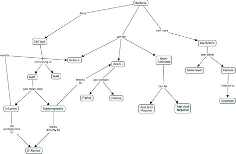 Bacterial Classification How Does One Classify Different Bacteria