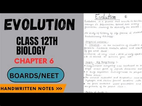 Evolution Class 12th Biology Chapter 6 Handwritten Notes