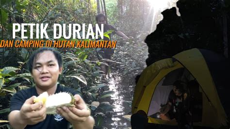 Panen Buah Durian Langsung Bikin Tampoyak Najur Malam Dan Camping Di