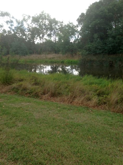 Tracks Trails And Coasts Near Melbourne Olnda Creek Wetland