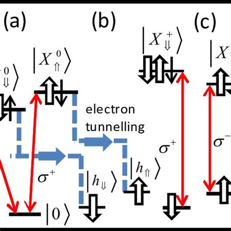 Color Online Schematic Energy Level Diagram In A Magnetic Field Of