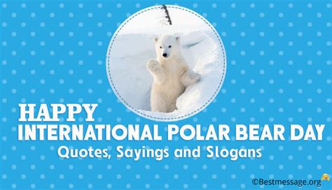 Happy International Polar Bear Day Messages, Quotes and Sayings