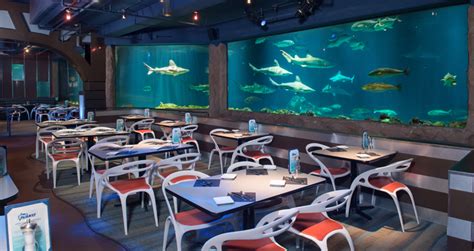 Sharks Underwater Grill is a Hidden GEM at SeaWorld Orlando