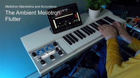 Mellotron Mandolin And Accordion Looping With A Long Delay The