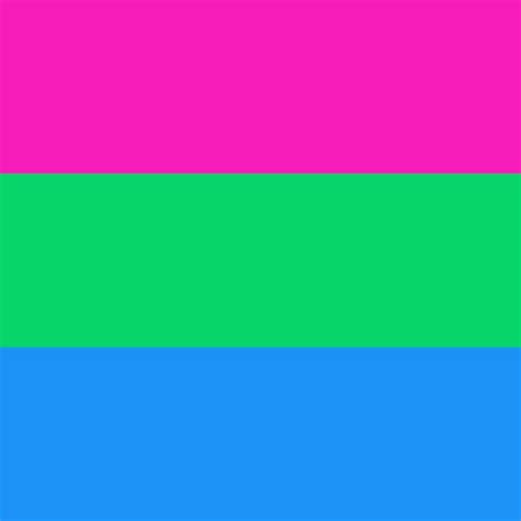 Polysexual Pride Flag National Capital Flag