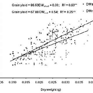 Relationship Between Grain Yield Per Plant And Shoot Root Ratio Each