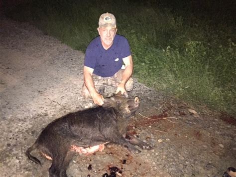 Oklahoma Hog Hunts Hunting Hogs In Oklahoma Hunt Feral Hogs