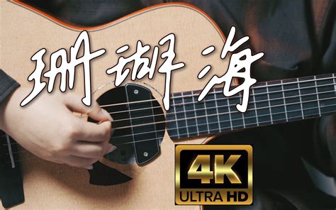 【指弹】一秒带你回到2005年，周杰伦《珊瑚海》by詹老丝 詹老丝studio 詹老丝studio 哔哩哔哩视频