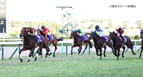 東スポ競馬 On Twitter 【 阪神jf 結果＆コメント】3番人気 ウンブライル は15着 横山武「最後にはじける手応えもなかっ