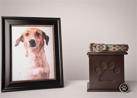 Five Pet Memorial Gifts to Remember Your Beloved Companion | Yadkin Valley Pet Funeral Services