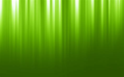 Light Green Backgrounds 44 Images