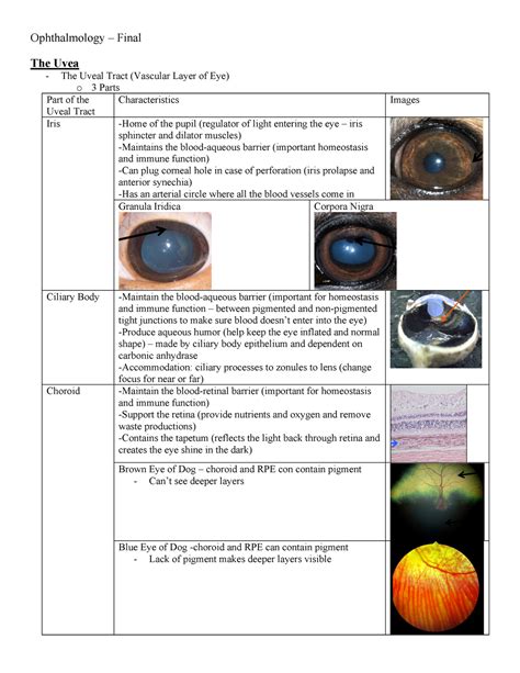 Sa Ophthalmology Final Ophthalmology Final The Uvea The Uveal