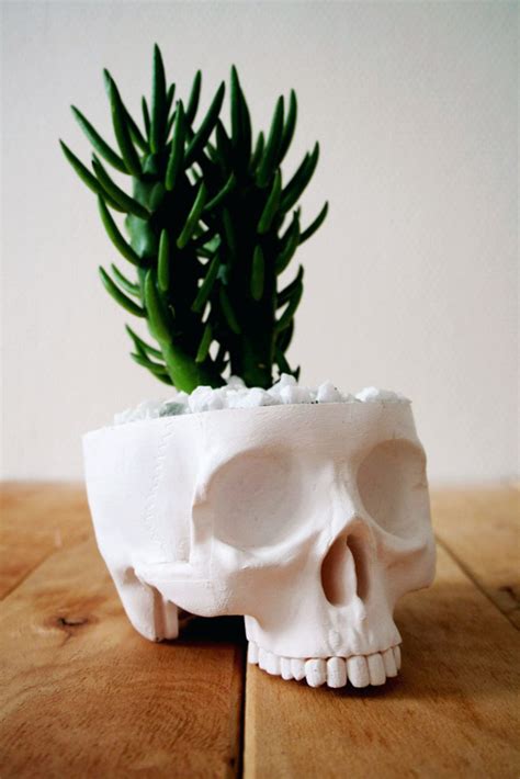 15 DIY Halloween Skull Decoration Ideas - The Xerxes