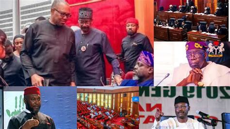 Vid Peter Obi Tinubu Got It Wrong On These Senate Expose What They