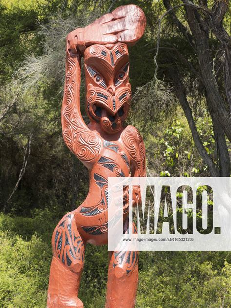 Maori Zunge Fotos IMAGO