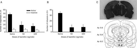 Effect Of The Microinjection Of Baclofen Into The Vta On Intravenous Download Scientific